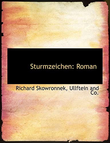 9781140516927: Sturmzeichen: Roman