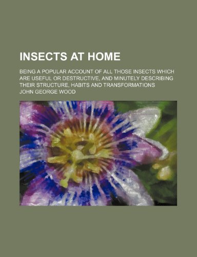 Insects at Home; Being a Popular Account of All Those Insects Which Are Useful or Destructive, and Minutely Describing Their Structure, Habits and Transformations (9781150895654) by Wood, John George