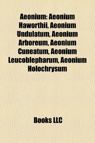 9781157194736: Aeonium: Aeonium Haworthii, Aeonium Undu