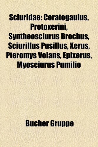9781159320430: Sciuridae: Ceratogaulus, Protoxerini, Syntheosciurus Brochus, Sciurillus Pusillus, Xerus, Pteromys Volans, Epixerus, Myosciurus Pumilio