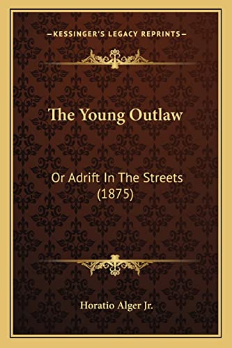 9781163973431: The Young Outlaw: Or Adrift In The Streets (1875)