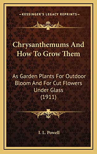 Imagen de archivo de Chrysanthemums and How to Grow Them: As Garden Plants for Outdoor Bloom and for Cut Flowers Under Glass (1911) a la venta por THE SAINT BOOKSTORE