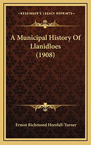 9781164786726: A Municipal History Of Llanidloes (1908)