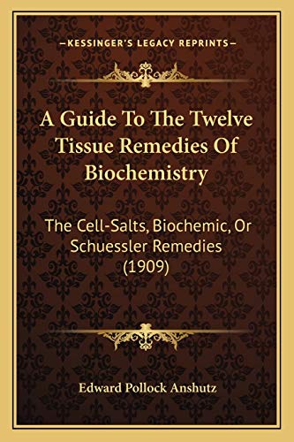 9781165257362: A Guide To The Twelve Tissue Remedies Of Biochemistry: The Cell-Salts, Biochemic, Or Schuessler Remedies (1909)