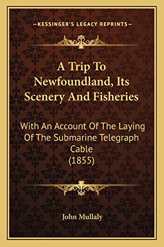 Stock image for A Trip To Newfoundland, Its Scenery And Fisheries: With An Account Of The Laying Of The Submarine Telegraph Cable (1855) for sale by ALLBOOKS1