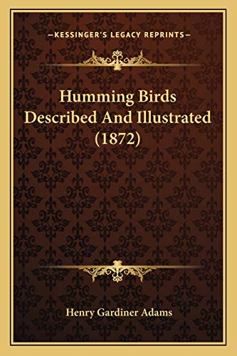 9781166587383: Humming Birds Described And Illustrated (1872)