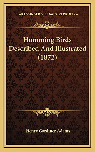 9781166640583: Humming Birds Described And Illustrated (1872)