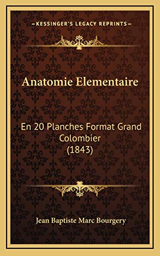 9781168232427: Anatomie Elementaire
