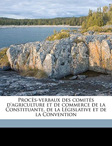 ProcÃ¨s-verbaux des comitÃ©s d'agriculture et de commerce de la Constituante, de la LÃ©gislative et de la Convention Volume 1 (French Edition) (9781171557821) by Gerbaux, Fernand; Schmidt, Charles