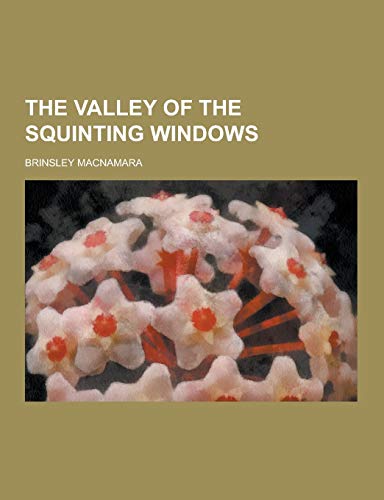 9781230409139: The Valley of the Squinting Windows