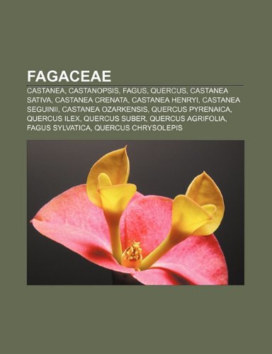 9781231392423: Fagaceae: Castanea, Castanopsis, Fagus, Quercus, Castanea Sativa, Castanea Crenata, Castanea Henryi, Castanea Seguinii, Castanea Ozarkensis