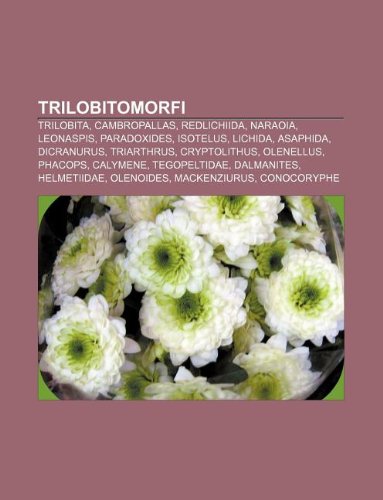Stock image for Trilobitomorfi: Trilobita, Cambropallas, Redlichiida, Naraoia, Leonaspis, Paradoxides, Isotelus, Lichida, Asaphida, Dicranurus, Triart for sale by Buchpark