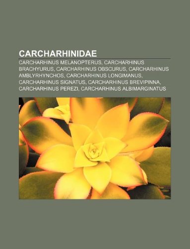 Beispielbild fr Carcharhinidae: Carcharhinus Melanopterus, Carcharhinus Brachyurus, Carcharhinus Obscurus, Carcharhinus Amblyrhynchos, Carcharhinus Lo zum Verkauf von Buchpark