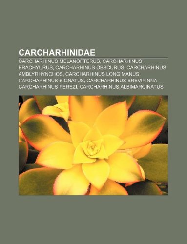 Stock image for Carcharhinidae: Carcharhinus Melanopterus, Carcharhinus Brachyurus, Carcharhinus Obscurus, Carcharhinus Amblyrhynchos, Carcharhinus Lo for sale by Buchpark