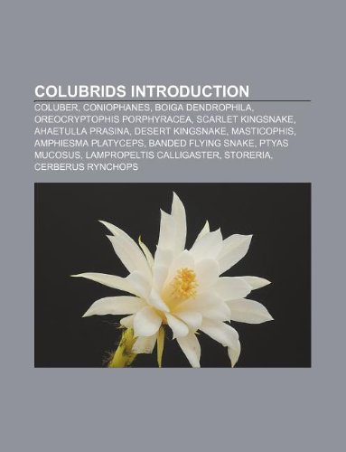 9781233127894: Colubrids Introduction: Coluber, Coniophanes, Boiga Dendrophila, Oreocryptophis Porphyracea, Scarlet Kingsnake, Ahaetulla Prasina