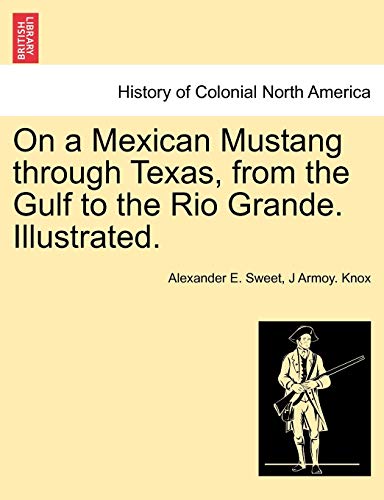 Imagen de archivo de On a Mexican Mustang through Texas, from the Gulf to the Rio Grande. Illustrated. a la venta por Lucky's Textbooks