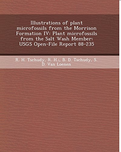 Illustrations of Plant Microfossils from the Morrison Formation IV: Plant Microfossils from the Salt Wash Member: Usgs Open-File Report 88-235 (9781244059788) by Wagner, William G.; Tschudy, R. H. R. H.; Tschudy, B. D.