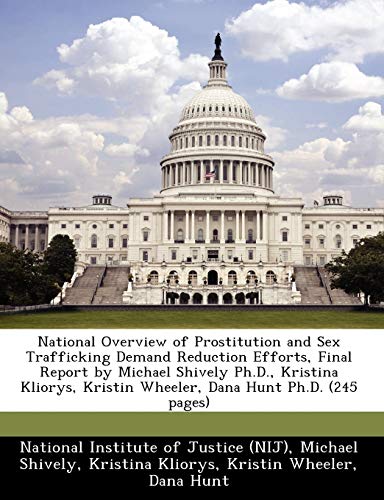 Stock image for National Overview of Prostitution and Sex Trafficking Demand Reduction Efforts, Final Report by Michael Shively Ph.D., Kristina Kliorys, Kristin Wheeler, Dana Hunt Ph.D. (245 pages) for sale by HPB-Red