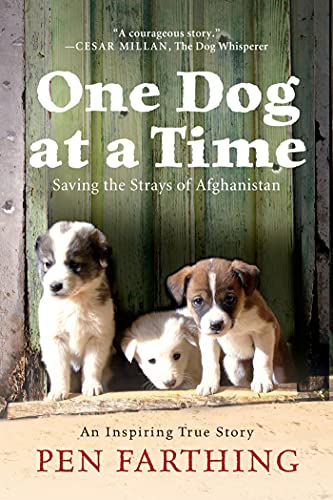 Imagen de archivo de One Dog at a Time : Saving the Strays of Afghanistan a la venta por Better World Books