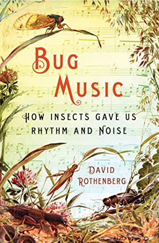 Stock image for Bug Music : How Insects Gave Us Rhythm and Noise for sale by Better World Books