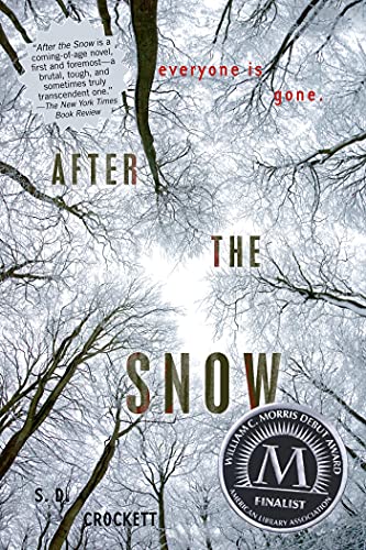 Stock image for After the Snow (After the Snow, 1) for sale by SecondSale