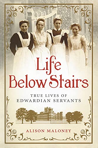 9781250017659: LIFE BELOW STAIRS