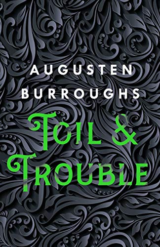 Beispielbild fr Toil & Trouble: A Memoir zum Verkauf von SecondSale