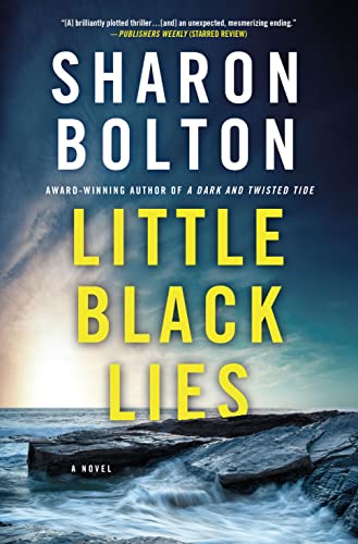 9781250028594: Little Black Lies