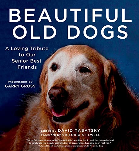 Stock image for Beautiful Old Dogs: A Loving Tribute to Our Senior Best Friends for sale by Ergodebooks