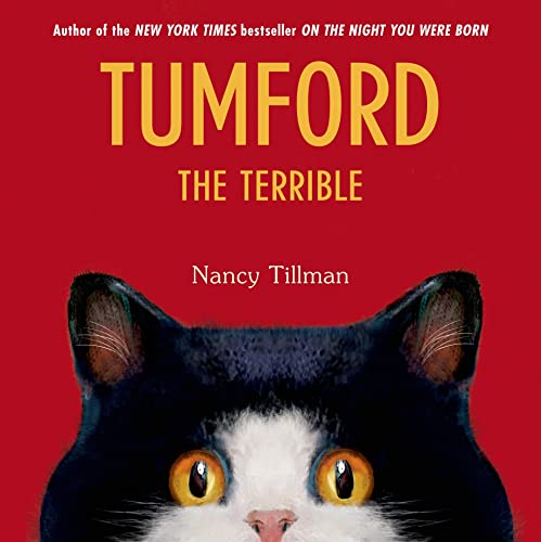 9781250033642: Tumford The Terrible