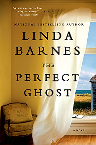 Stock image for The Perfect Ghost: A Novel for sale by SecondSale