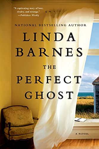 9781250036988: The Perfect Ghost: A Novel