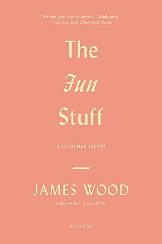 9781250037831: Fun Stuff: And Other Essays