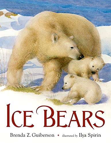 Beispielbild fr Ice Bears zum Verkauf von ThriftBooks-Atlanta