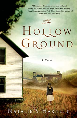 Beispielbild fr The Hollow Ground : A Novel zum Verkauf von Better World Books