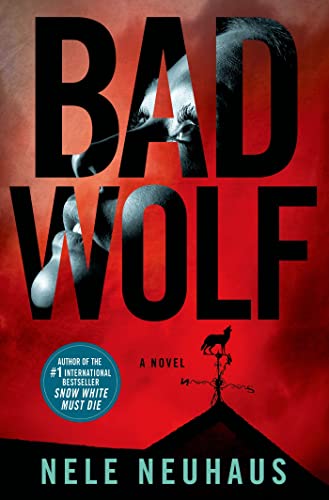 9781250043993: Bad Wolf