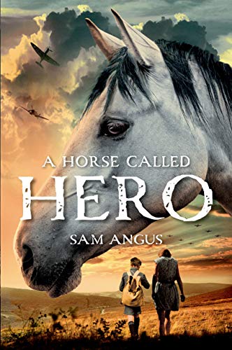 Beispielbild fr A Horse Called Hero zum Verkauf von BooksRun