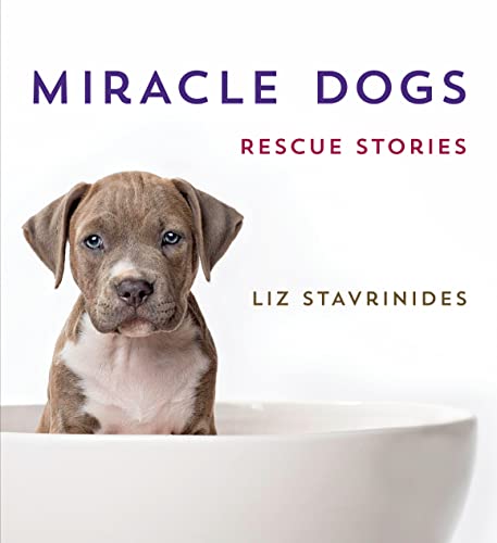 Beispielbild fr Miracle Dogs: Rescue Stories zum Verkauf von SecondSale