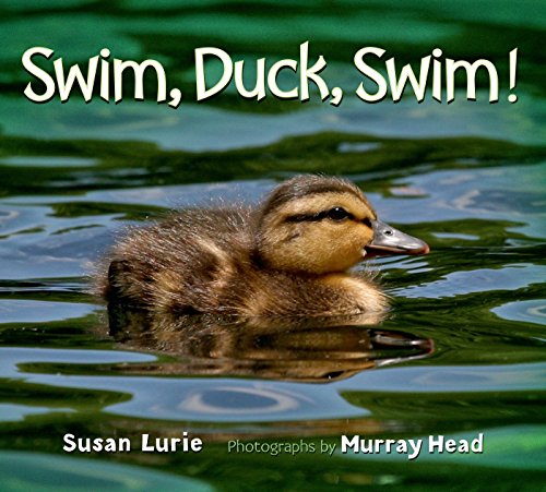 Beispielbild fr Swim, Duck, Swim! zum Verkauf von Better World Books