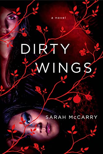 Stock image for Dirty Wings : A Novel for sale by Better World Books