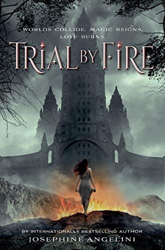 Imagen de archivo de Trial by Fire a la venta por Better World Books