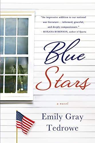 Beispielbild fr Blue Stars: A Novel zum Verkauf von Reliant Bookstore