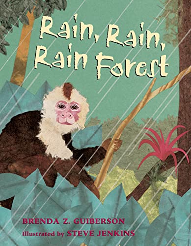 9781250056771: Rain, Rain, Rain Rainforest