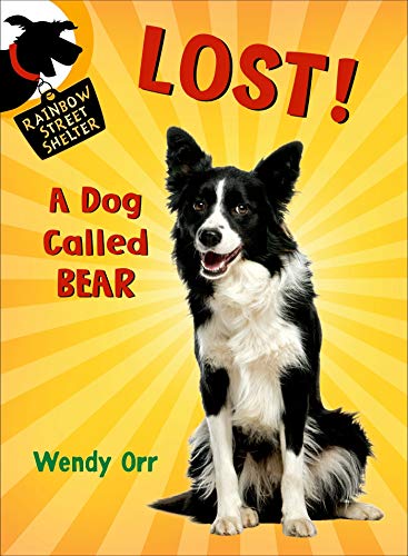 9781250056818: Lost! a Dog Called Bear (Rainbow Street Shelter, 1)