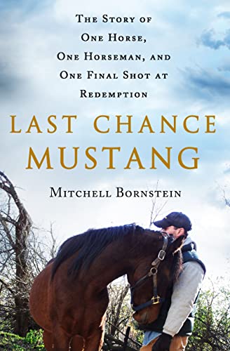 Stock image for Last Chance Mustang: The Story of One Horse, One Horseman, and One Final Shot at Redemption for sale by Gulf Coast Books