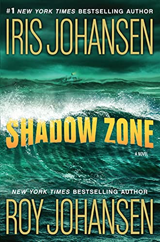 9781250060594: Shadow Zone: A Novel