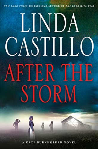 Beispielbild fr After the Storm : A Kate Burkholder Novel zum Verkauf von Better World Books
