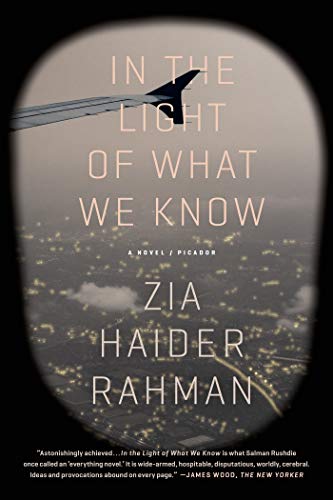 Beispielbild fr In the Light of What We Know: A Novel zum Verkauf von SecondSale