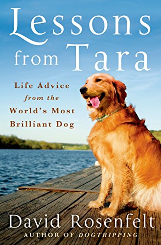 Beispielbild fr Lessons from Tara zum Verkauf von Better World Books
