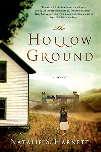Stock image for The Hollow Ground: A Novel for sale by Wonder Book